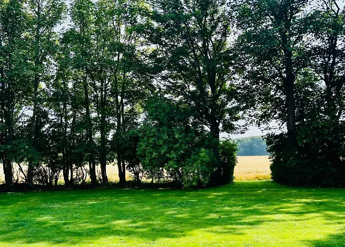 Birkelund1927 Dannemare